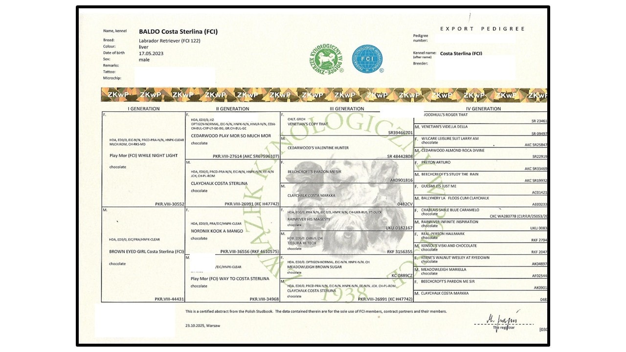 Baldo export pedigree certificate