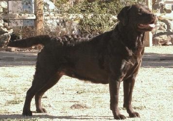 Gallery photo 2