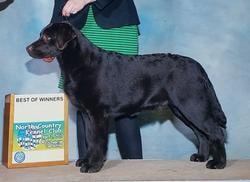 Jolly champion offspring 4