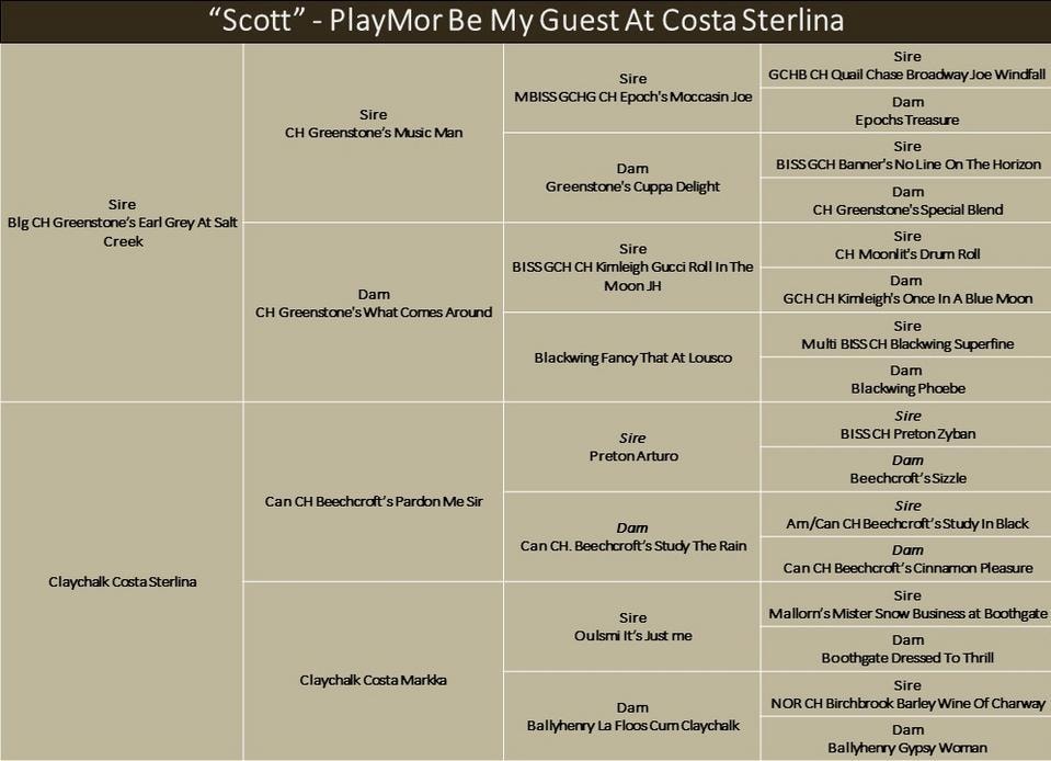 Scott pedigree